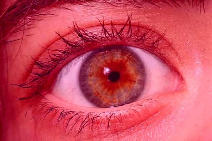 Scarlett, 22, a red hazel-eyed asian companion based in Batulenger Barat. Offering Travel Companion, Striptease, Roleplay. Available for incall and outcall, ...