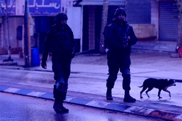 Scarlett, 22 — Escort in Huwara, Palestine