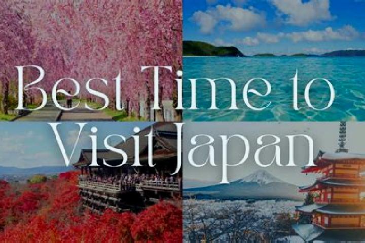 Scarlett, 22 — Escort in Ishige, Japan