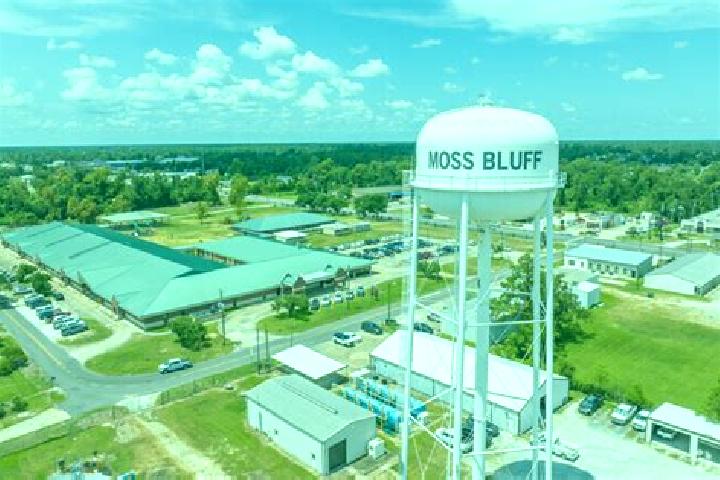 Scarlett, 22 — Escort in Moss Bluff, United States