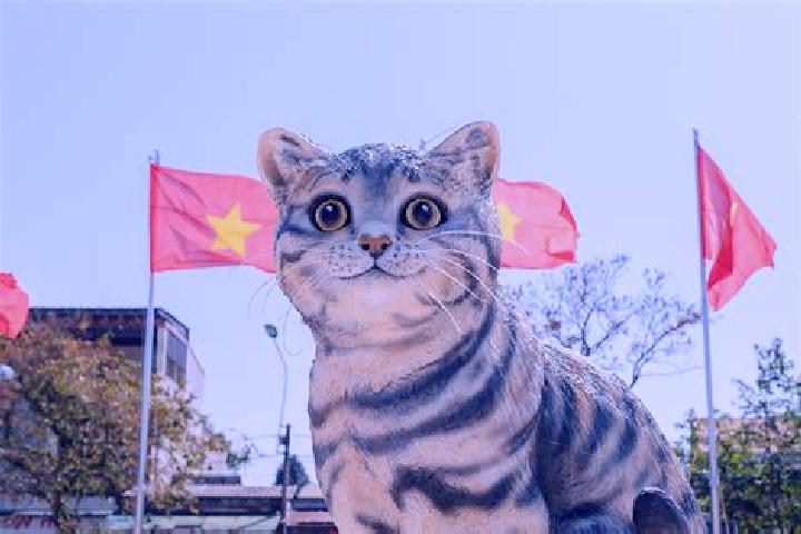 Scarlett, 22 — Escort in Na Meo, Vietnam