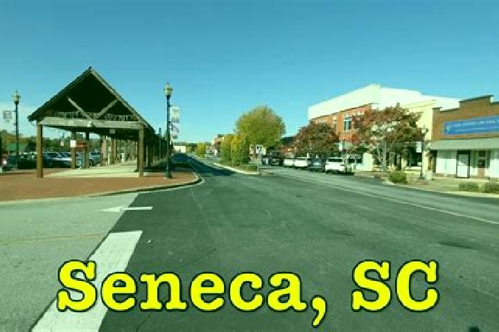 Scarlett, 22 — Escort in Seneca Knolls, United States