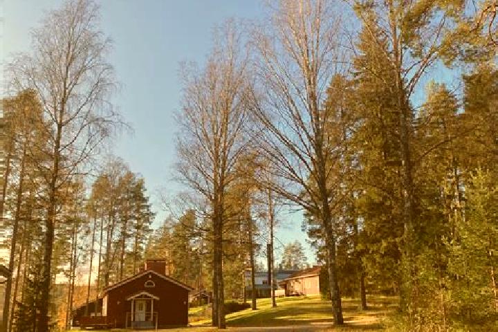 Scarlett, 22 — Escort in Sulkava, Finland