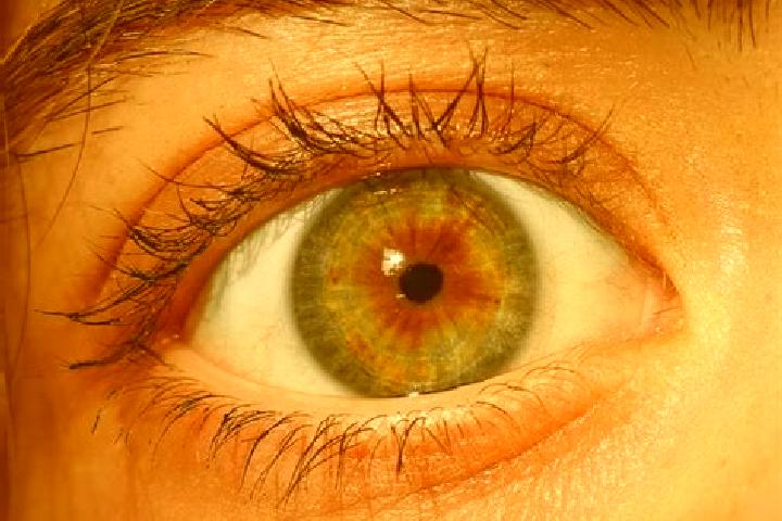 Scarlett, 23, a red hazel-eyed caucasian companion based in Arbaa Laaounate. Offering CIM, Overnight, GFE. Available for incall and outcall, overnight bookin...
