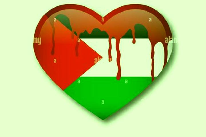 Scarlett, 23 — Escort in Birqin, Palestine
