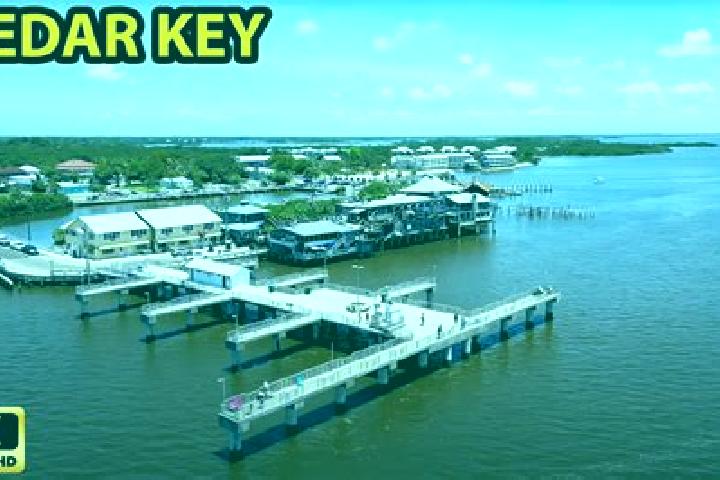 Scarlett, 23 — Escort in Cedar Key, United States