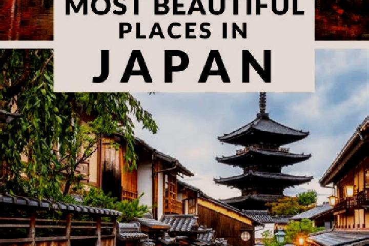 Scarlett, 23 — Escort in Tokuwase, Japan