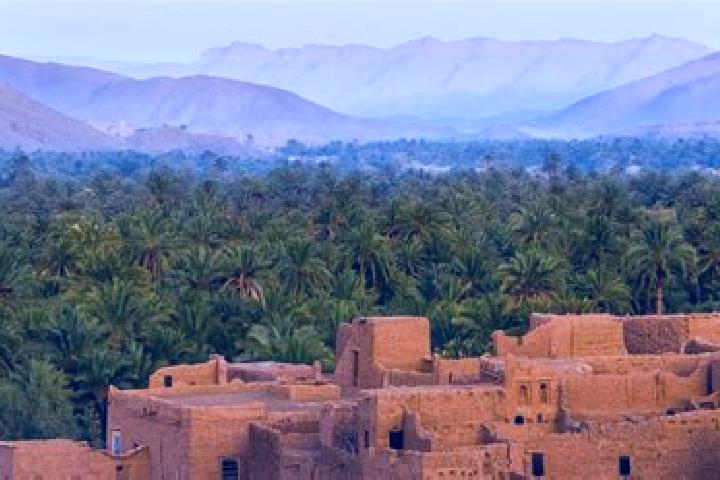 Scarlett, 24 — Escort in Oued Amlil, Morocco