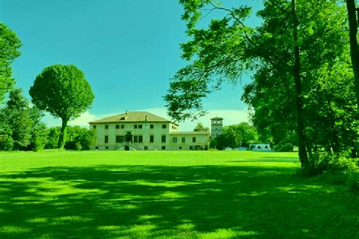 Scarlett, 24 — Escort in Piazzola sul Brenta, Italy