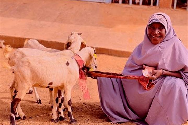 Scarlett, 26 — Escort in Bagaroua, Niger