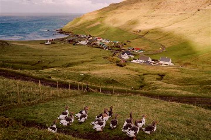 Scarlett, 26 — Escort in Skali, Faroe Islands