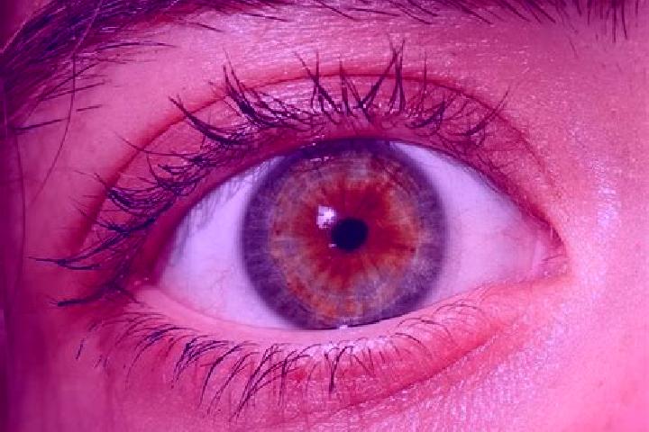 Scarlett, 27, a red hazel-eyed mediterranean companion based in Primrose Place. Offering Domination, GFE, OWO. Available for incall and outcall, day and even...