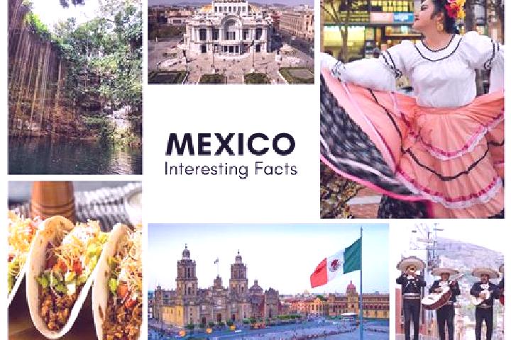 Scarlett, 27 — Escort in Colonia Tezontla, Mexico