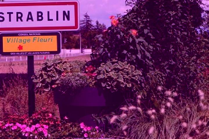 Scarlett, 27 — Escort in Estrablin, France