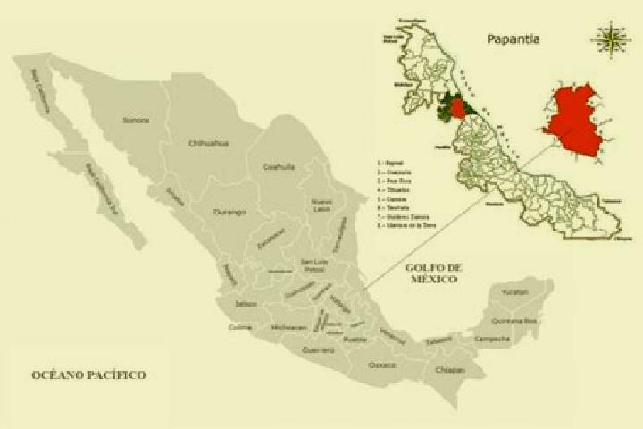 Scarlett, 27 — Escort in Papantla de Olarte, Mexico
