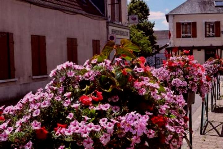 Scarlett, 28 — Escort in Les Essarts-le-Roi, France