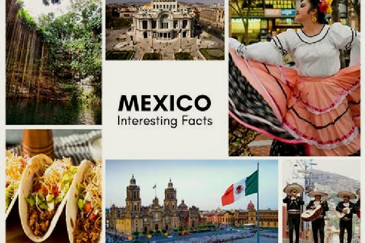 Scarlett, 28 — Escort in Loche, Mexico