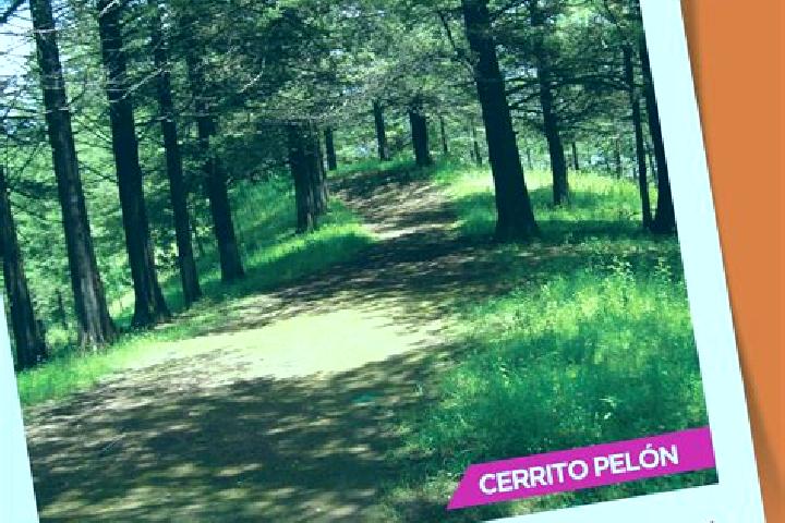 Scarlett, 28 — Escort in Paracho de Verduzco, Mexico