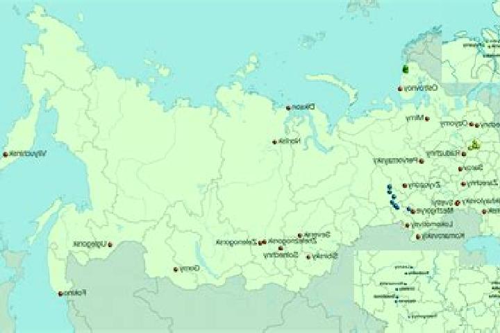 Scarlett, 28 — Escort in Veselyy, Russia
