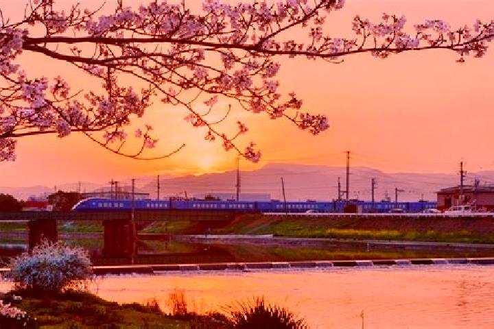 Scarlett, 28 — Escort in Yukuhashi, Japan