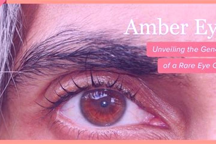 Scarlett, 29, a black amber-eyed european companion based in Kais. Offering Couples, 69, Fetish, Striptease, CIM. Available for incall and outcall, overnight...