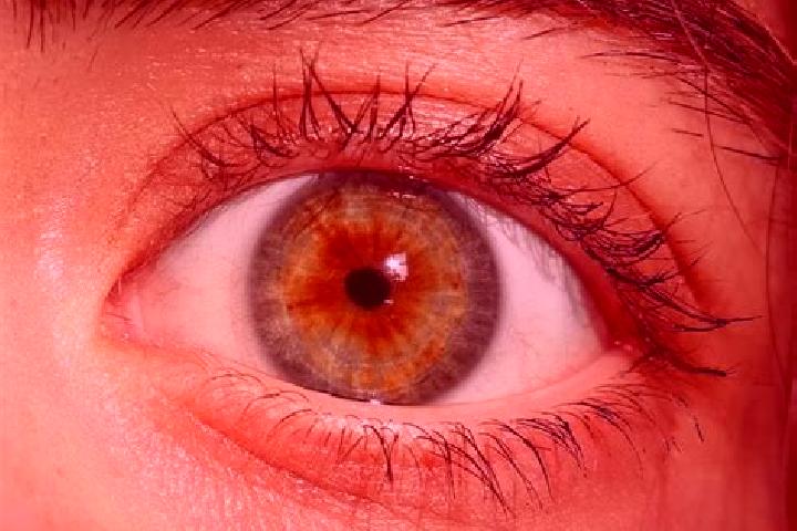 Scarlett, 29, a red hazel-eyed european companion based in Canaveral. Offering Travel Companion, GFE, Overnight, BDSM. Available for incall and outcall, over...