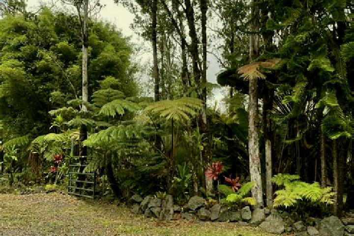 Scarlett, 29 — Escort in Fern Forest, United States