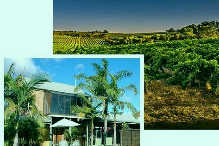 Scarlett, 29 — Escort in McLaren Vale, Australia
