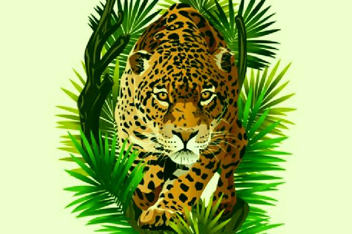 Scarlett, 29 — Escort in Onca, Brazil