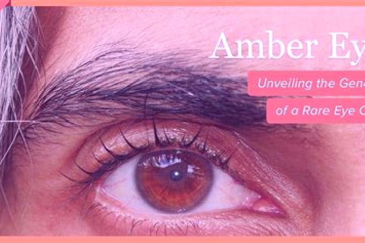 Scarlett, 30, a red amber-eyed caucasian companion based in Guarroman. Offering A-Level, Duos. Available for incall and outcall, day and evening dates.