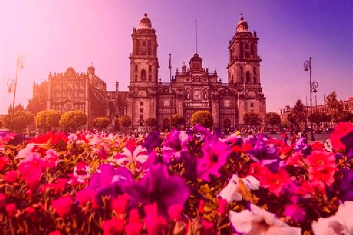 Scarlett, 30 — Escort in Ciudad Ayala, Mexico