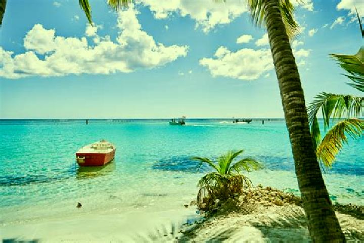Scarlett, 30 — Escort in Santo Domingo Yodohino, Mexico