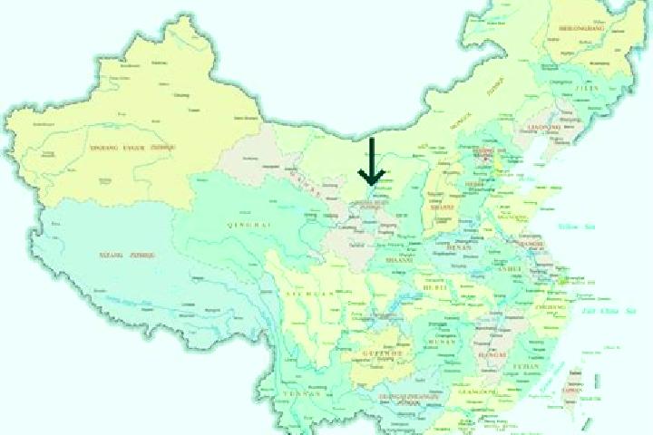 Scarlett, 30 — Escort in Yinzhen, China