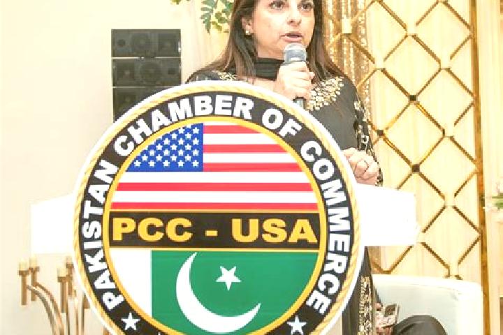 Scarlett, 31 — Escort in Chamber, Pakistan