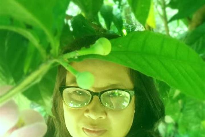 Scarlett, 31 — Escort in Kaeng Hang Maeo, Thailand