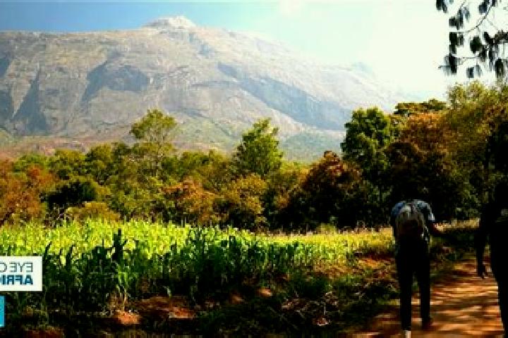 Scarlett, 31 — Escort in Mulanje, Malawi