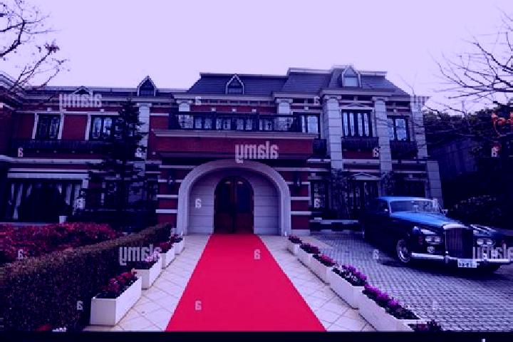 Scarlett, 32 — Escort in Aobadai, Japan
