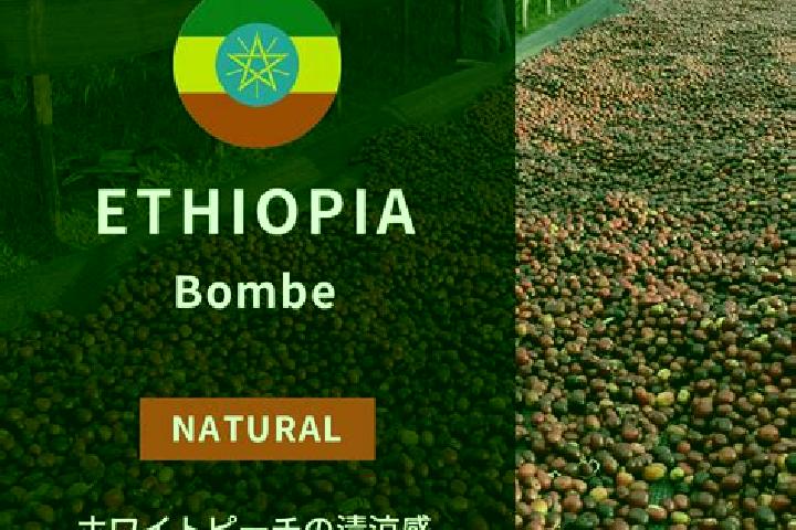 Scarlett, 32 — Escort in Bombe, Ethiopia