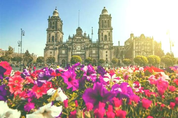 Scarlett, 32 — Escort in Ciudad Guzman, Mexico
