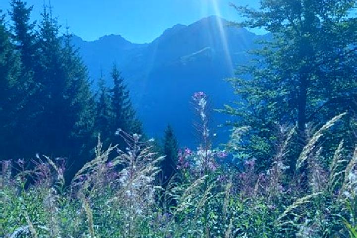 Scarlett, 32 — Escort in Mittelberg, Austria
