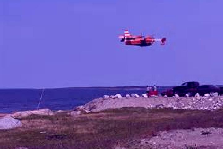 Scarlett, 32 — Escort in Musgrave Harbour, Canada