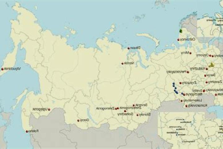Scarlett, 32 — Escort in Poldnevoye, Russia