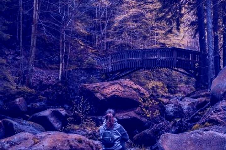 Scarlett, 33 — Escort in Herzberg am Harz, Germany