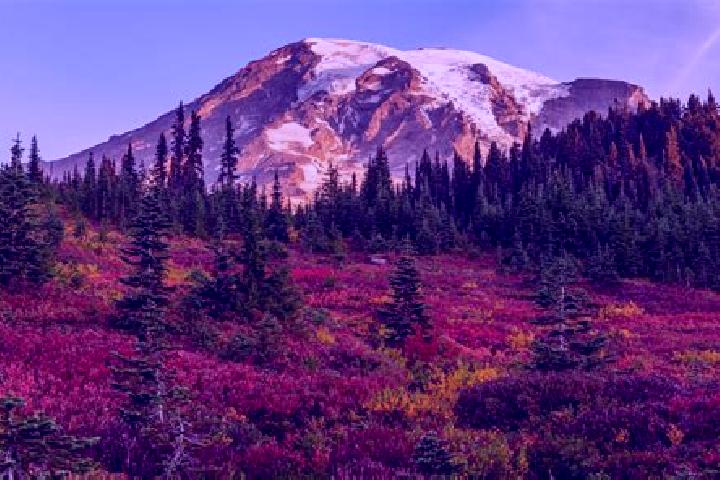 Scarlett, 33 — Escort in Mount Rainier, United States