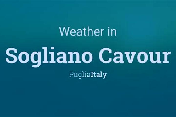 Scarlett, 33 — Escort in Sogliano Cavour, Italy
