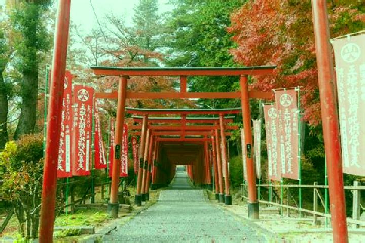 Scarlett, 33 — Escort in Tamba-Sasayama, Japan