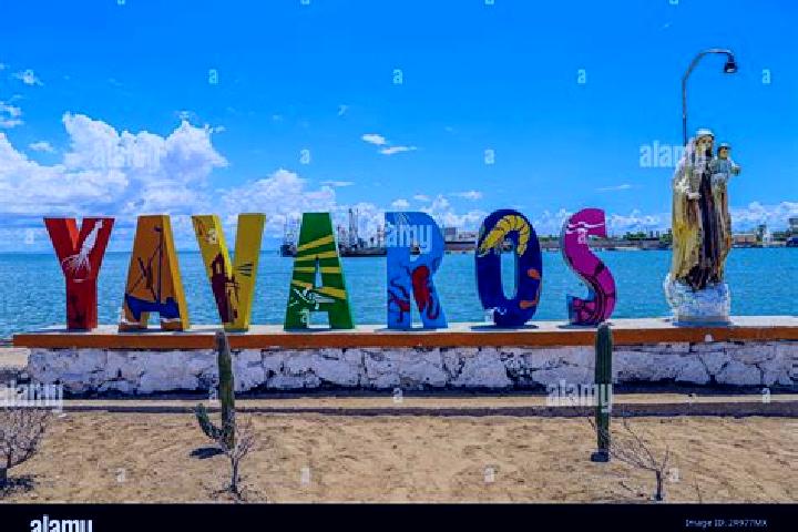 Scarlett, 33 — Escort in Yavaros, Mexico