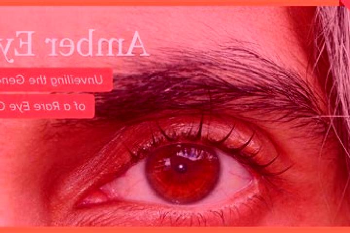 Scarlett, 34, a black amber-eyed middle eastern companion based in Polewali. Offering Domination, Girlfriend Experience, Tantra. Available for incall and out...
