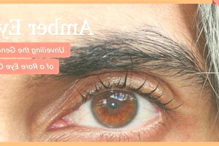 Scarlett, 34, a red amber-eyed mediterranean companion based in Walker Mill. Offering Massage, Dinner Date, OWO. Available for incall and outcall, day and ev...