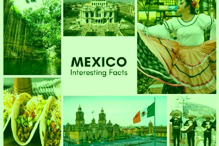Scarlett, 34 — Escort in Cuacuila, Mexico